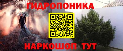скорость Кинель