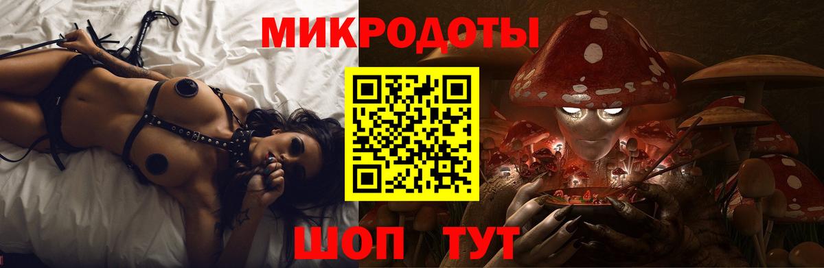 что такое   Галлюциногенные грибы прущие грибы  Вход с VPN  Коммунар  Псилоцибиновые грибы Psilocybine cubensis 